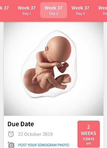 Tak lama je lagi kita jumpa yee.