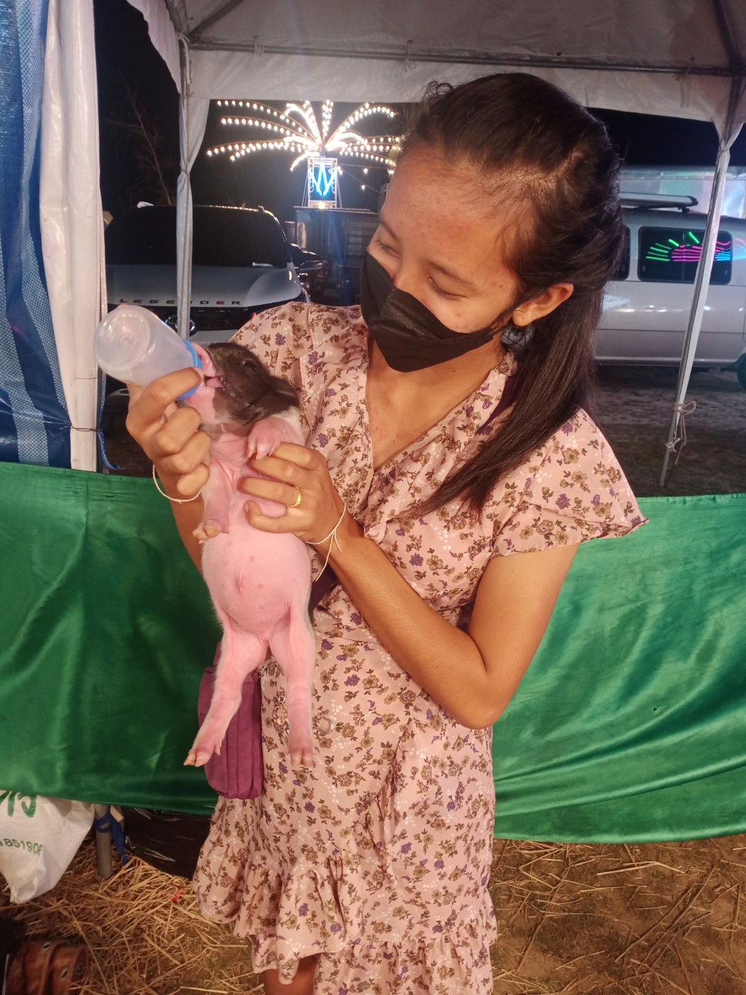 Arisa Teangkam profile icon