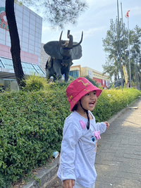 Putri Wulandari profile icon