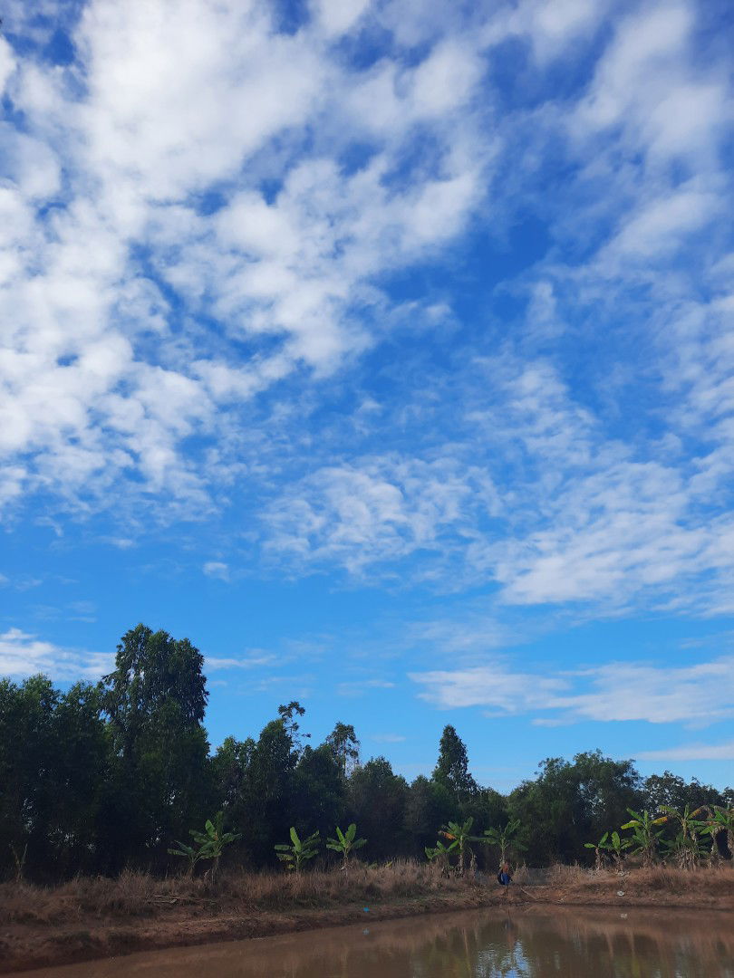 little human ♥ profile icon