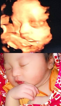 Sriwahyuni Iskandar profile icon