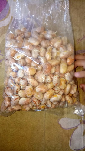 ini kacang merah bukan ?