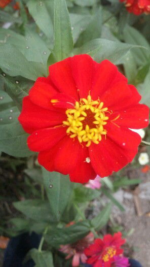 Nur Iddia Mfh profile icon