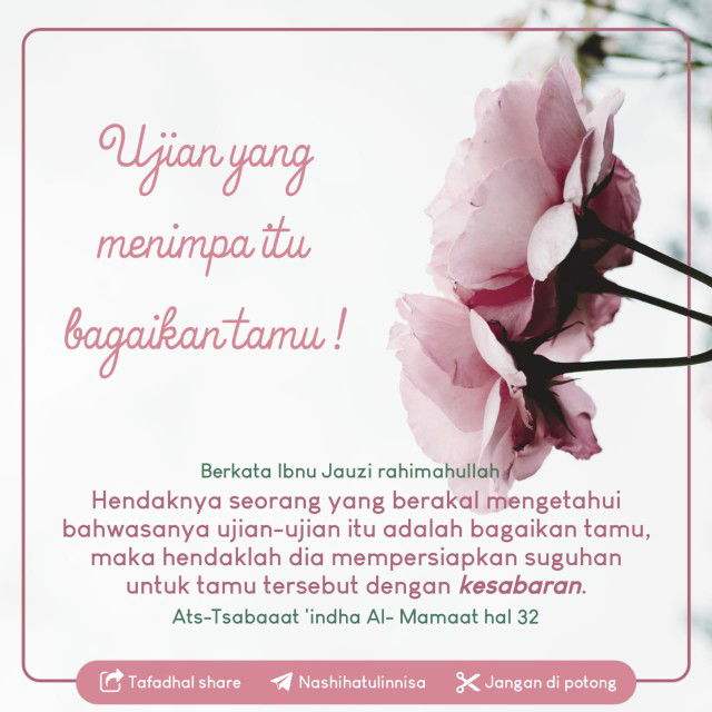 Seri Mahmani profile icon