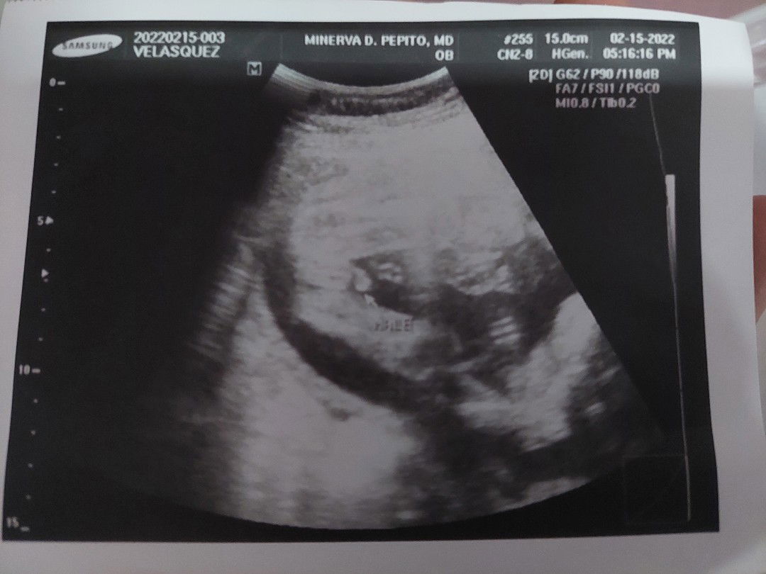 Visa Velasquez profile icon