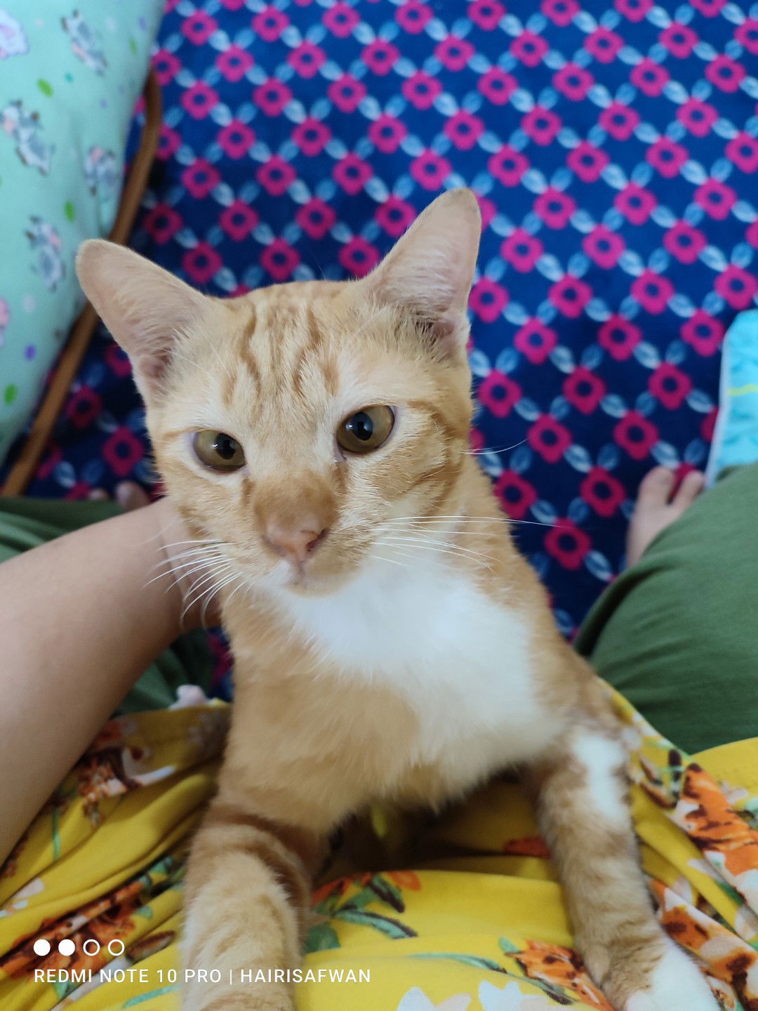 Eyda Omar profile icon