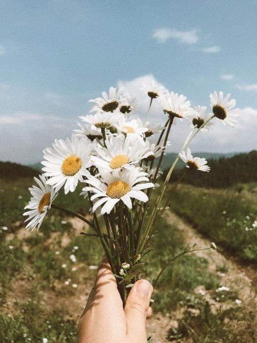 นพา profile icon