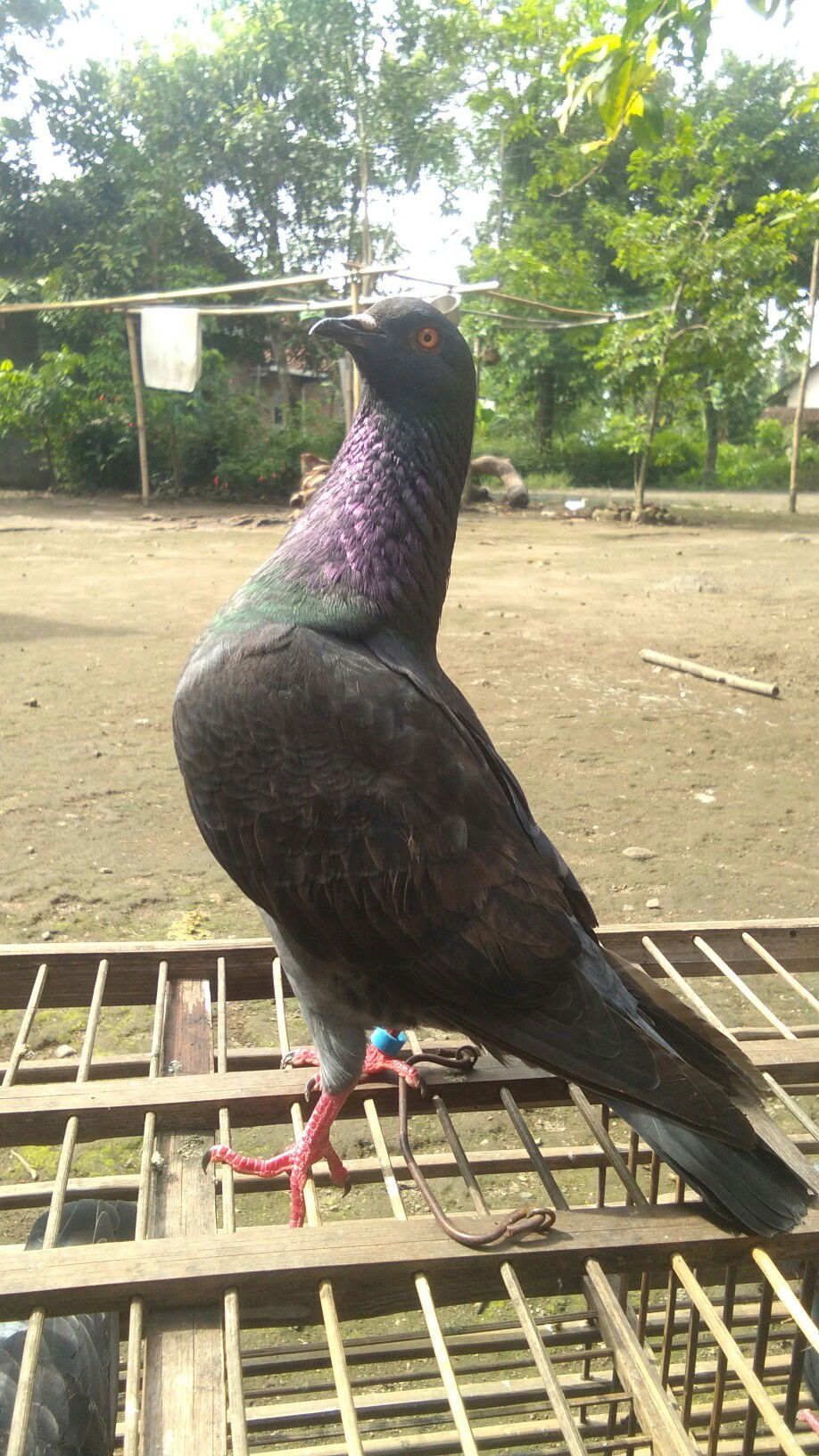 melitha ita puspita profile icon