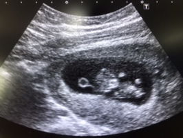 รวงข้าว profile icon