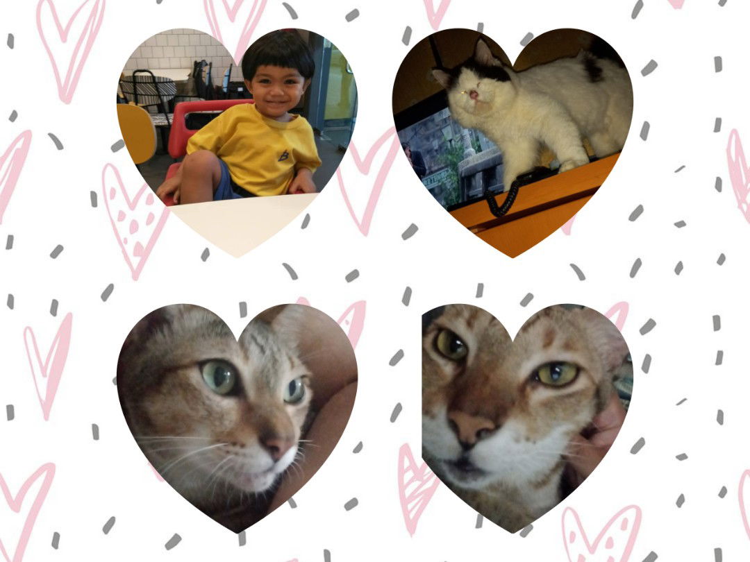 Nasrimah abdul Nasir profile icon