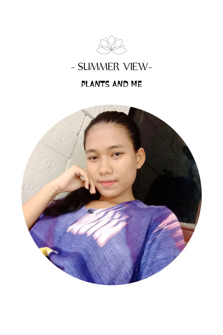 bibit Meta Purwati profile icon