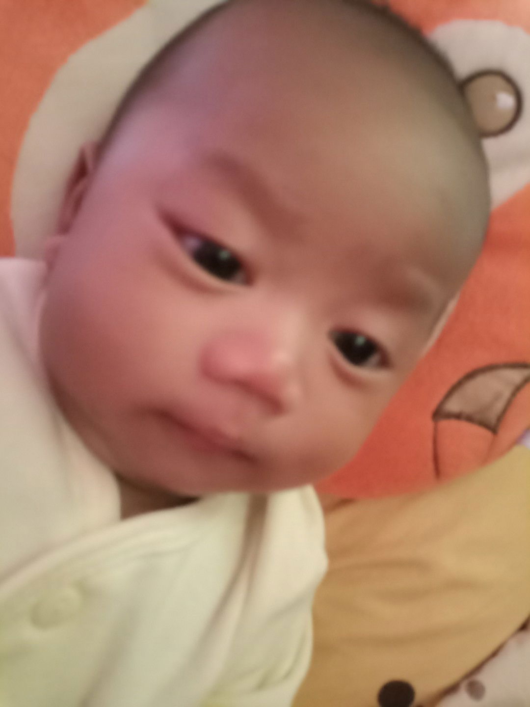 Shela Dwi Shaleha profile icon