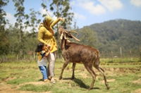 Riana Dewi profile icon