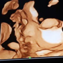 wedea 45 profile icon