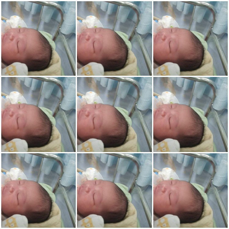 fatima Suron profile icon