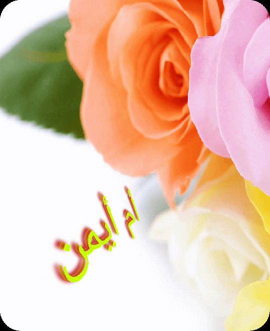 Nurul Ys profile icon