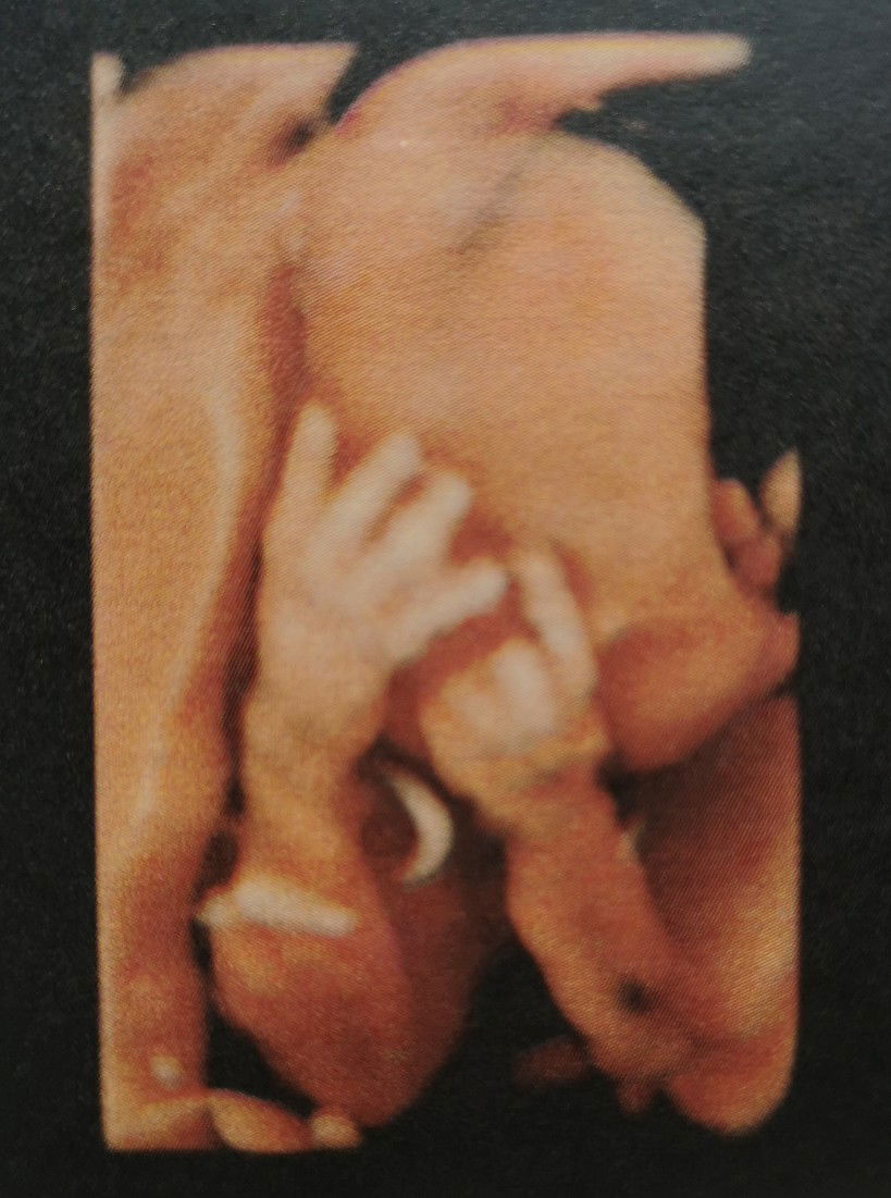 Okcrush profile icon