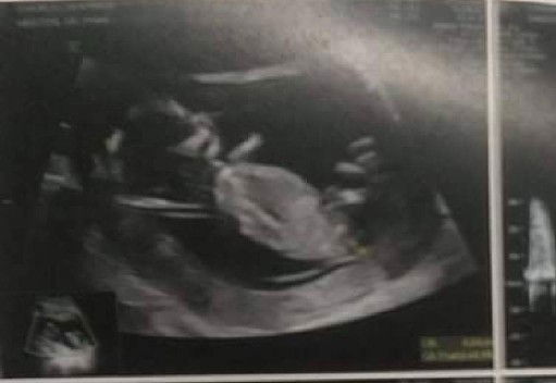 เจนจิรดา profile icon