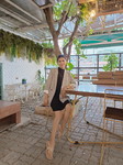 Nilnet Buatong profile icon