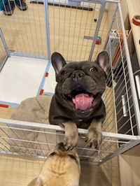 Minionn profile icon