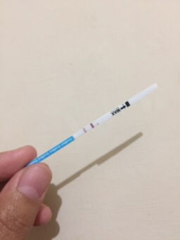 cicipaula profile icon