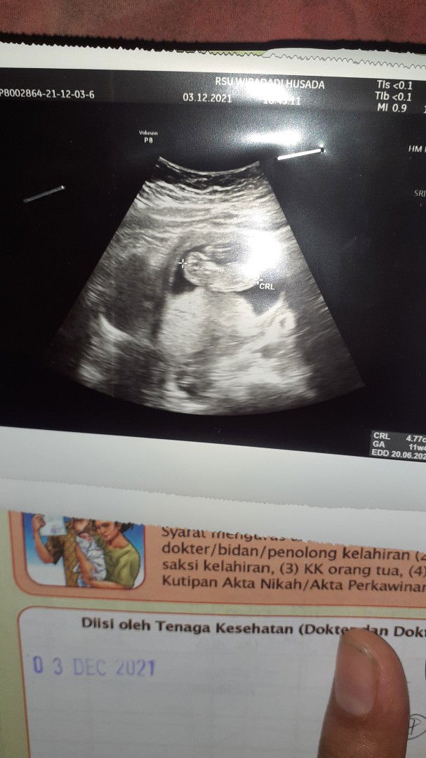 Yulia Eka profile icon