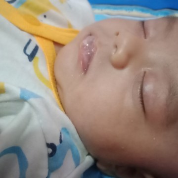 baby ngeludah