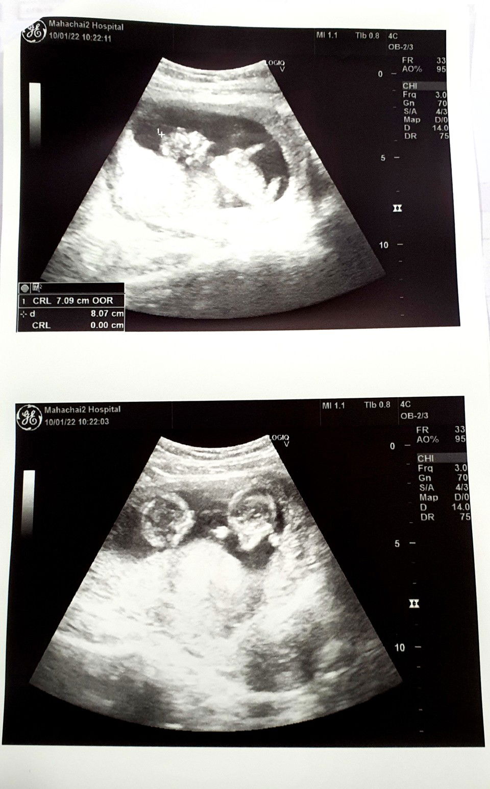 Nut Pornchanok profile icon