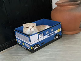 ? มัชเฌ ? profile icon