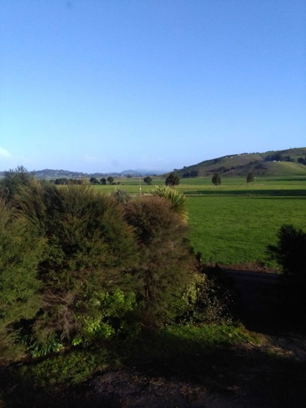 Peace Lily profile icon