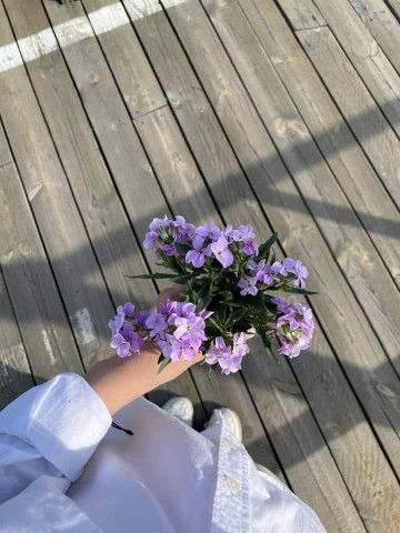 Mary Rose G. Descallar profile icon