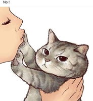 SR_Mohd profile icon