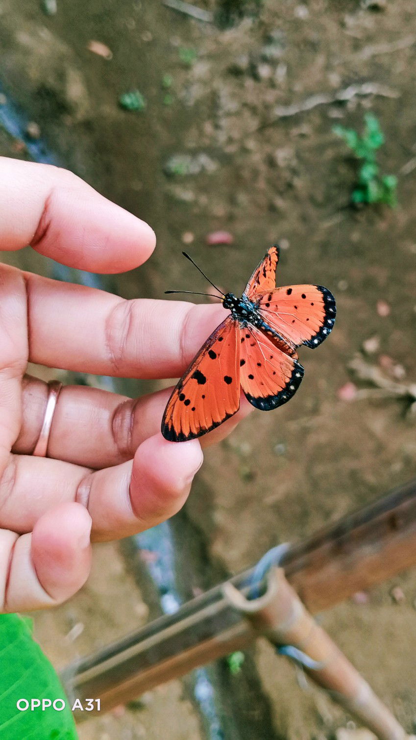 Nia Kurnia profile icon