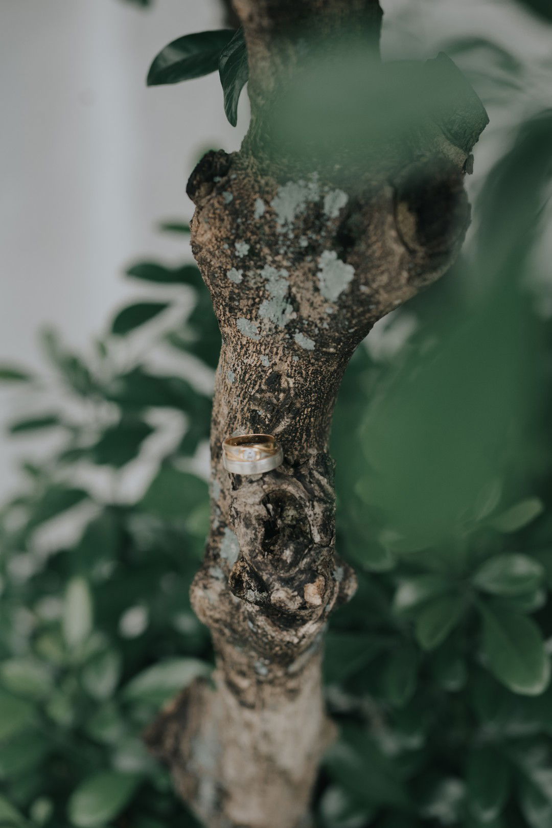 Farikha Ratna profile icon