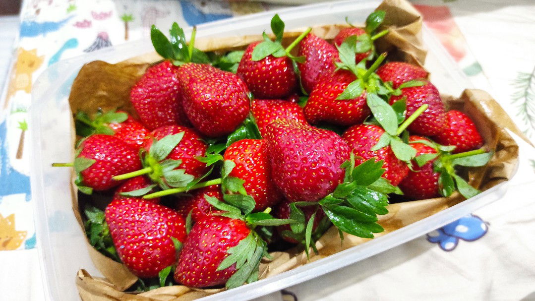 Swithya profile icon