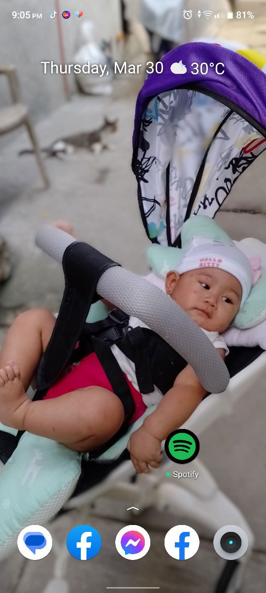 Rosemarie Flood profile icon