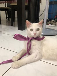 Nurul Ishah profile icon