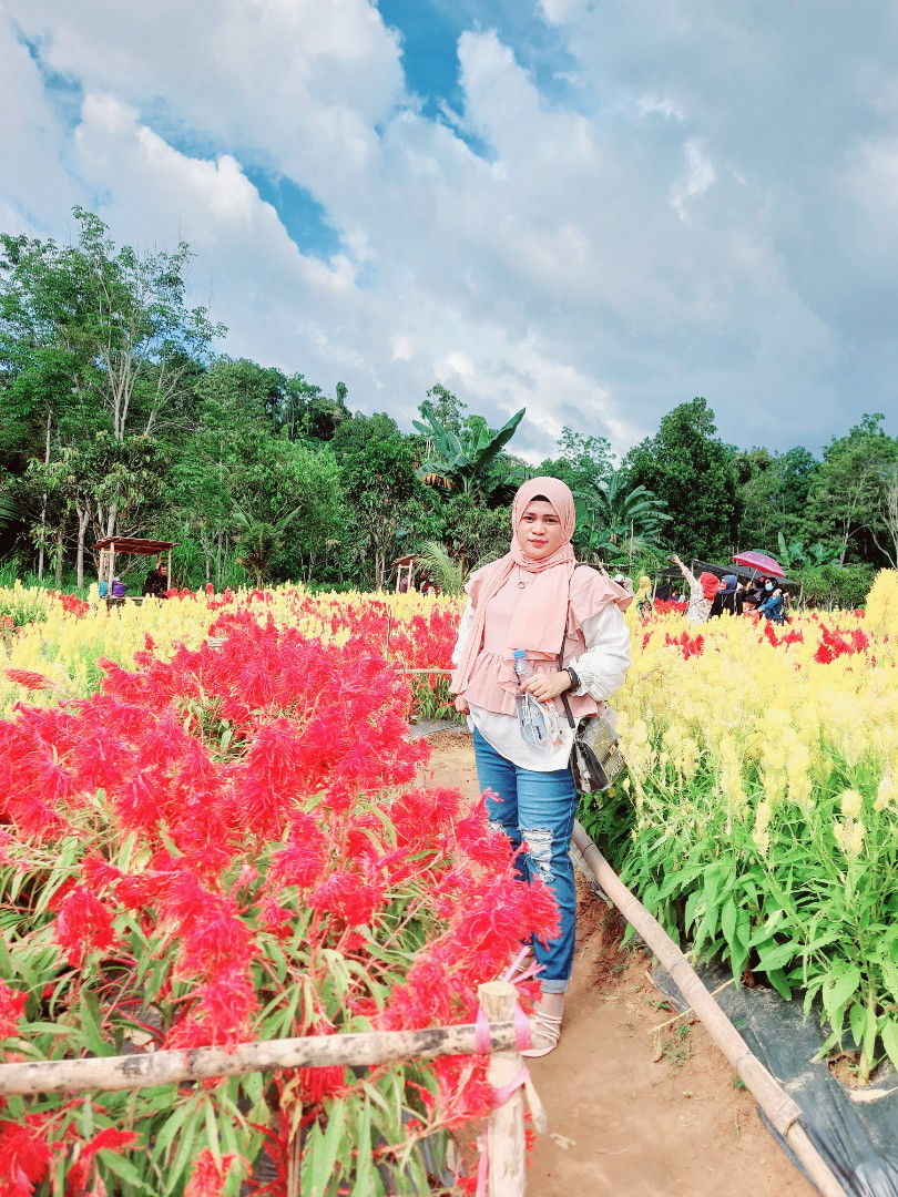 m. sai muhimin profile icon