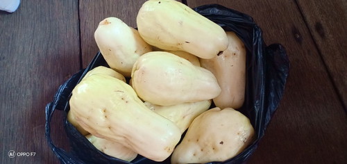 jambu lobak