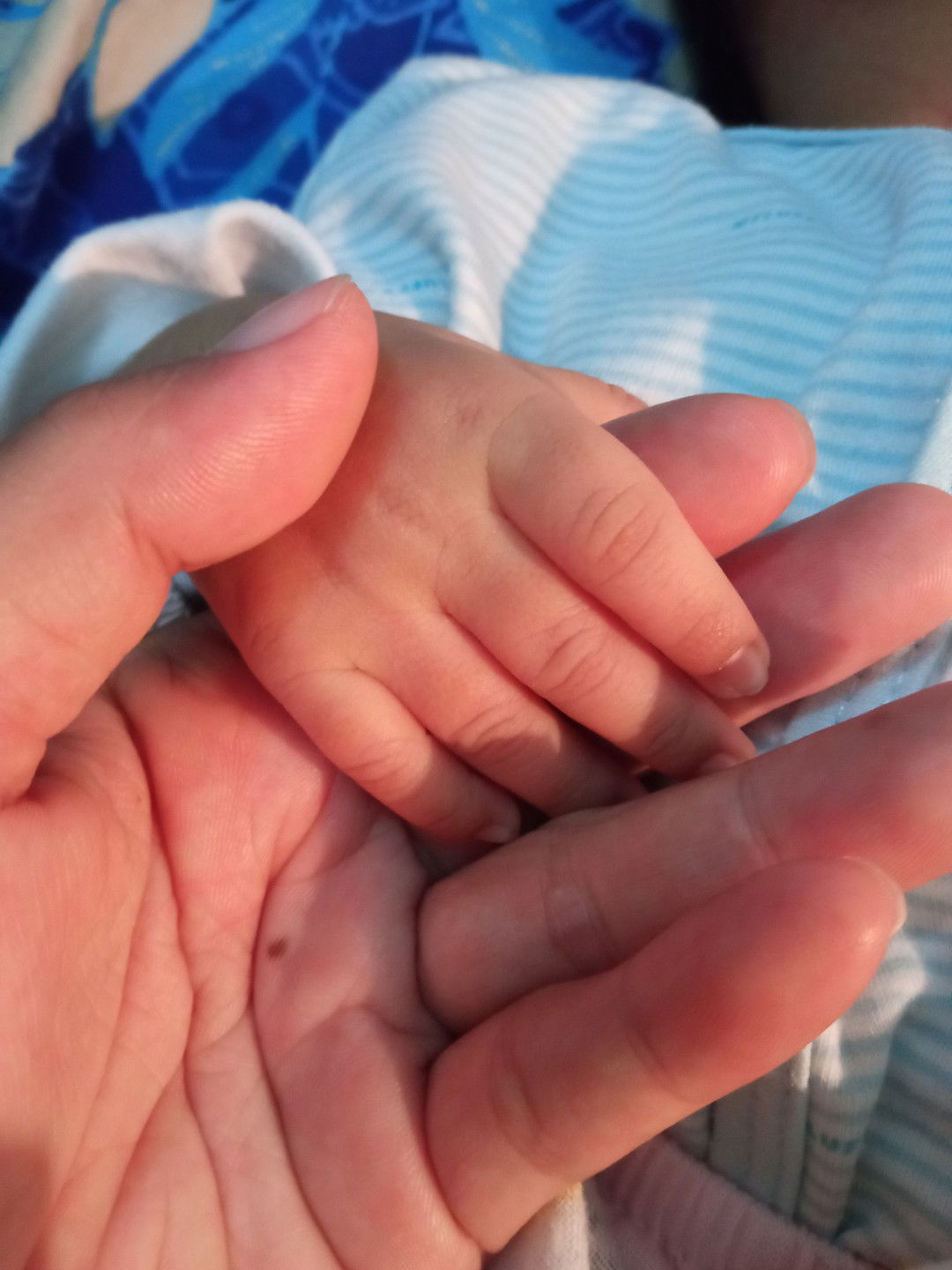 eti kusmeti profile icon