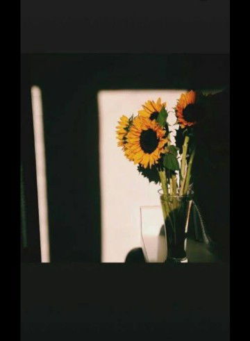 Anita Setyawati profile icon