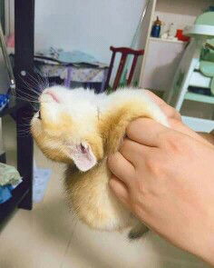 Bunda Fitri profile icon