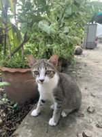 แอม profile icon