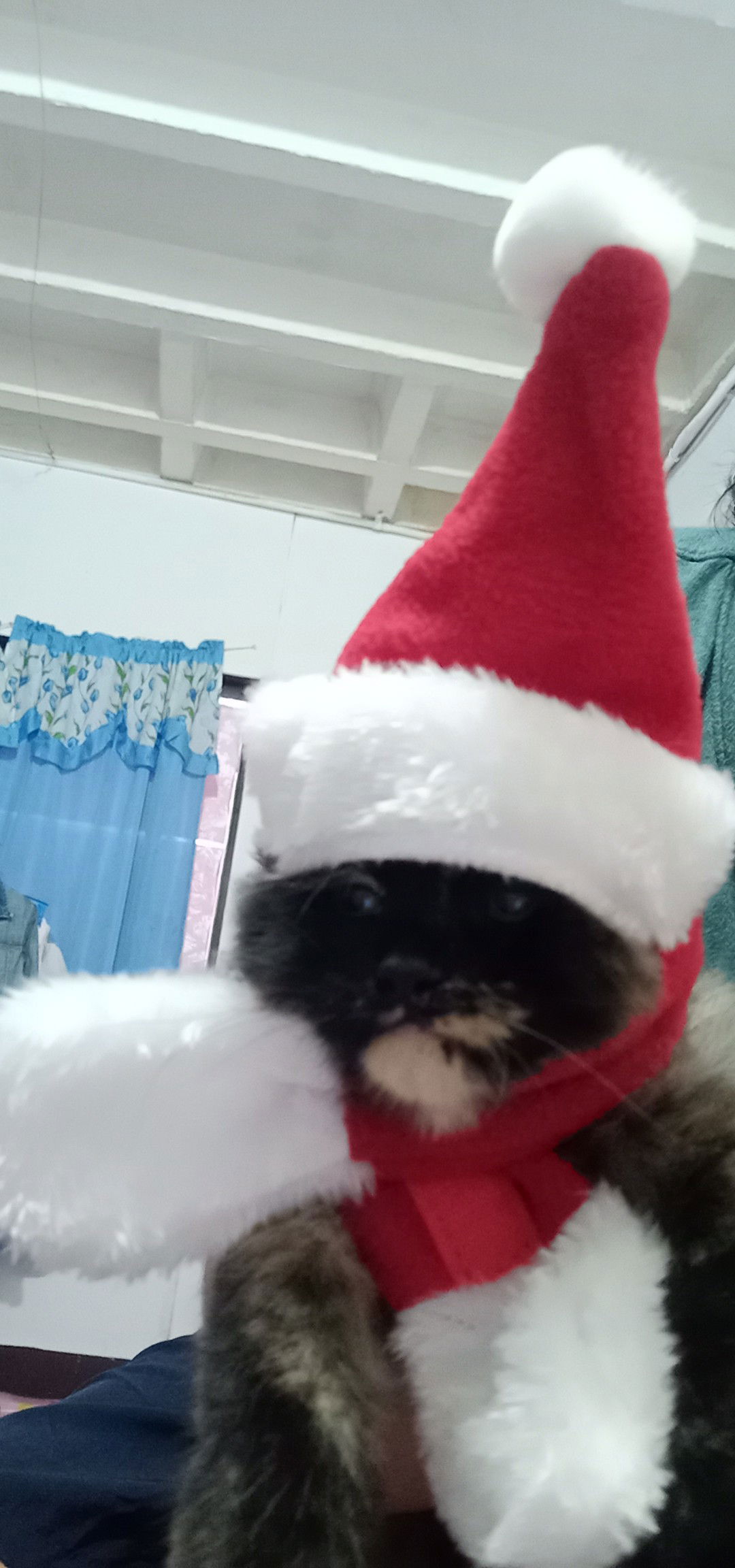 Mc Kieane Kieath Ilagan profile icon