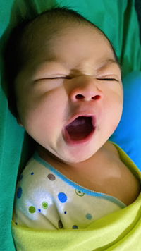 Bunga cornelia Agatha profile icon