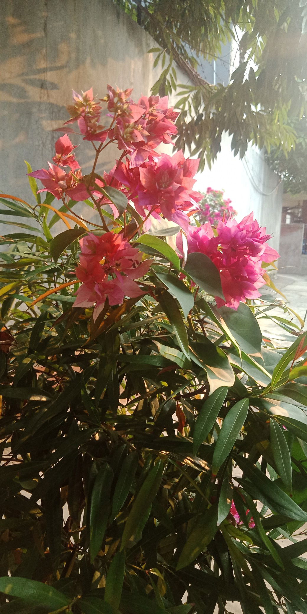 Jumi Narsih profile icon