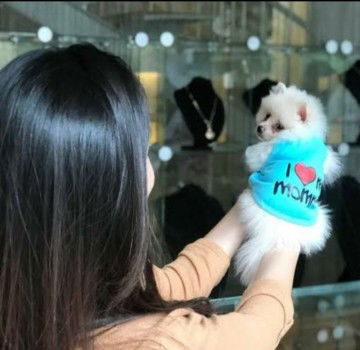 Mustika77 profile icon