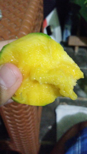 MANGGA