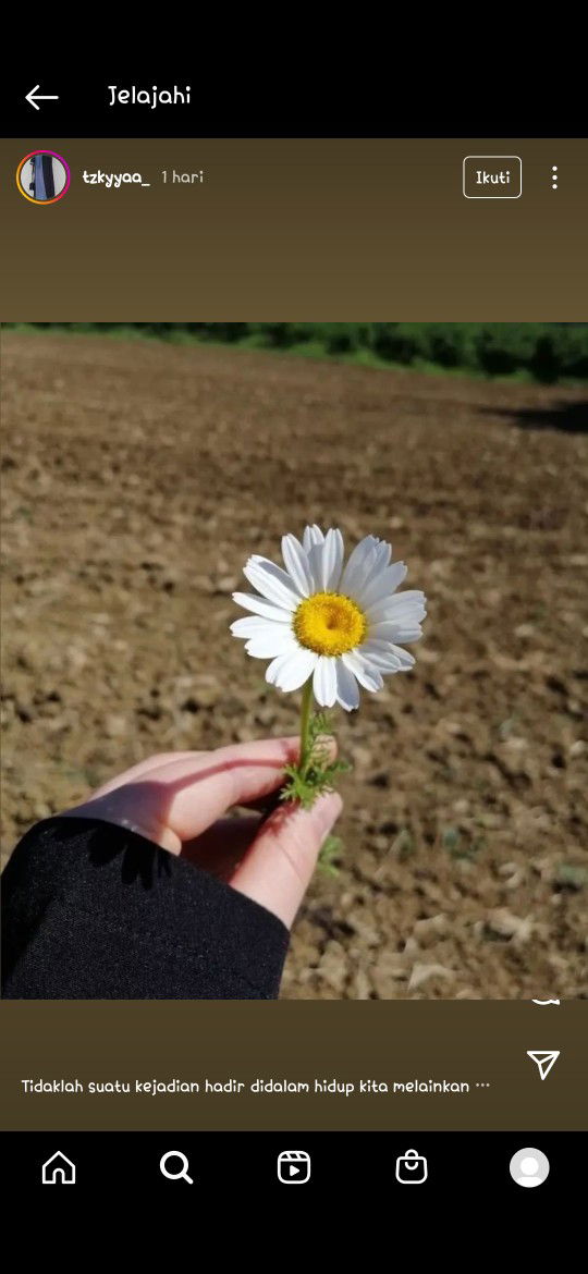 Syaffa Atul profile icon