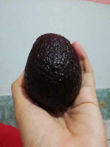 อโวคาโด้